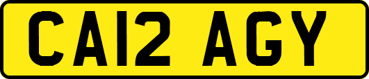 CA12AGY