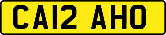 CA12AHO