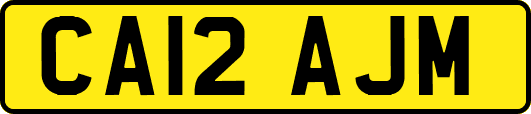 CA12AJM
