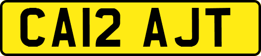 CA12AJT