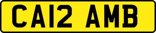 CA12AMB