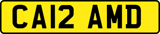 CA12AMD