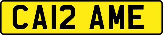 CA12AME