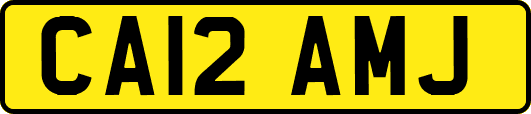 CA12AMJ