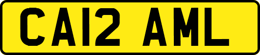 CA12AML