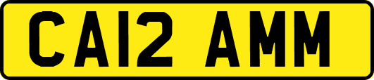 CA12AMM