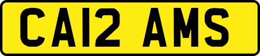 CA12AMS