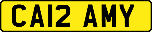 CA12AMY