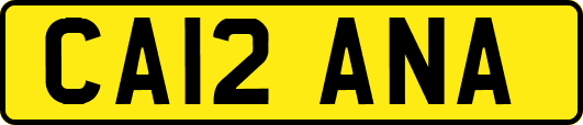 CA12ANA