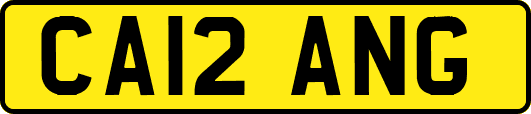 CA12ANG