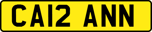 CA12ANN