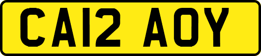 CA12AOY