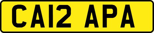 CA12APA
