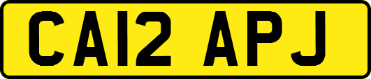 CA12APJ