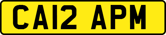 CA12APM