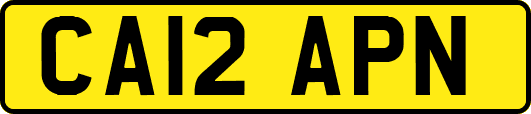 CA12APN