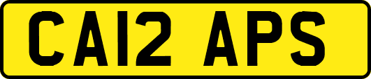 CA12APS