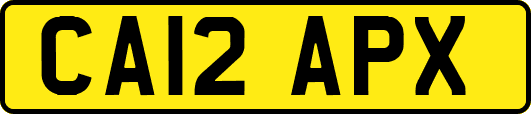 CA12APX