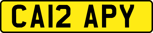 CA12APY