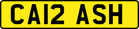 CA12ASH