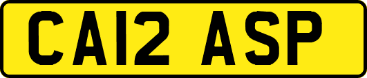 CA12ASP
