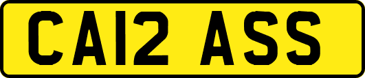 CA12ASS