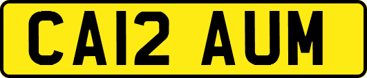 CA12AUM