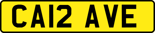 CA12AVE