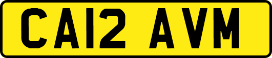 CA12AVM