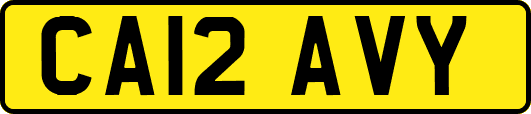 CA12AVY