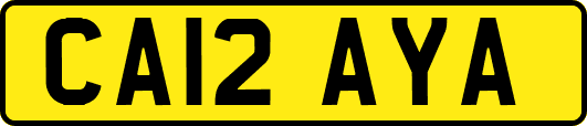 CA12AYA