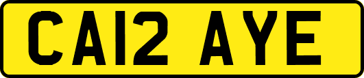 CA12AYE