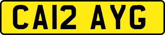 CA12AYG