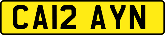 CA12AYN