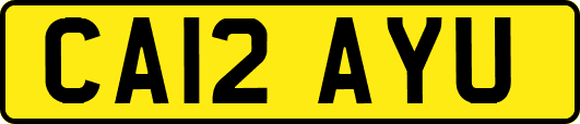 CA12AYU
