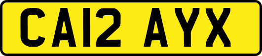 CA12AYX