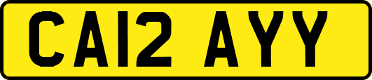 CA12AYY