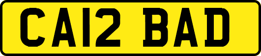 CA12BAD