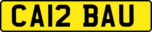 CA12BAU