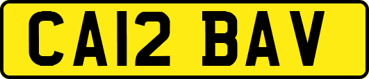 CA12BAV
