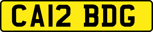 CA12BDG