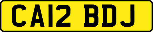 CA12BDJ