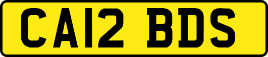 CA12BDS