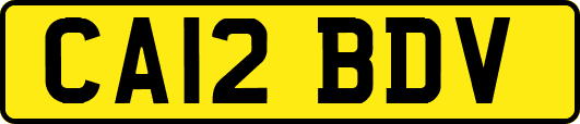 CA12BDV