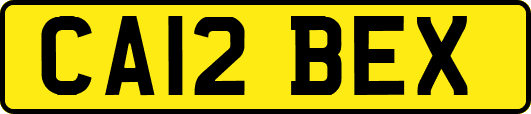 CA12BEX