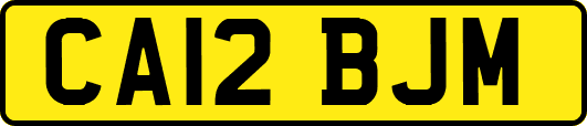 CA12BJM