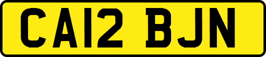 CA12BJN