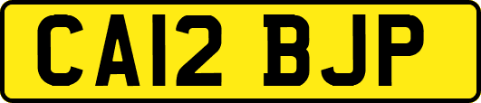 CA12BJP