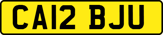 CA12BJU