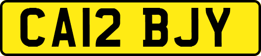 CA12BJY